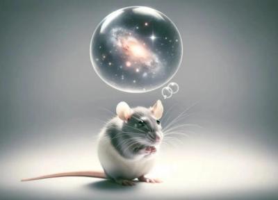 موش ها می توانند مثل انسان خیال پردازی نمایند!